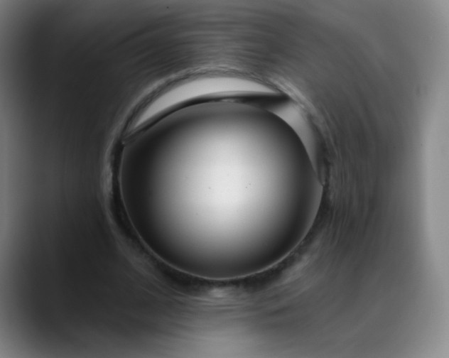 X0000089880584200707121814