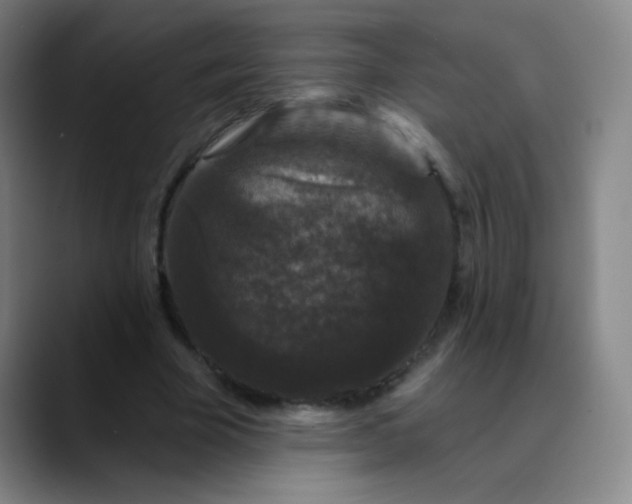 X0000089880585200707121814