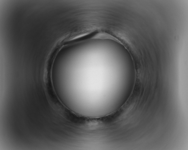 X0000089880587200707121814