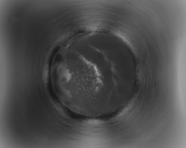 X0000089880590200707121814