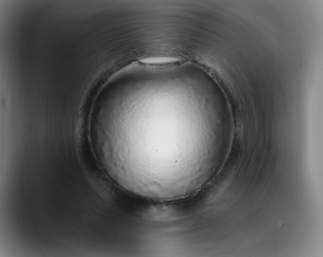 X0000089880591200707121814