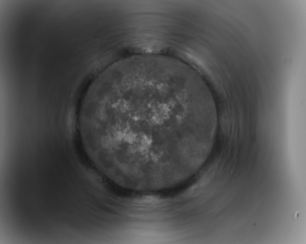 X0000089880594200707121814