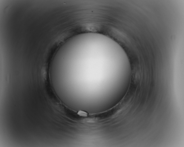 X0000089880595200707121814