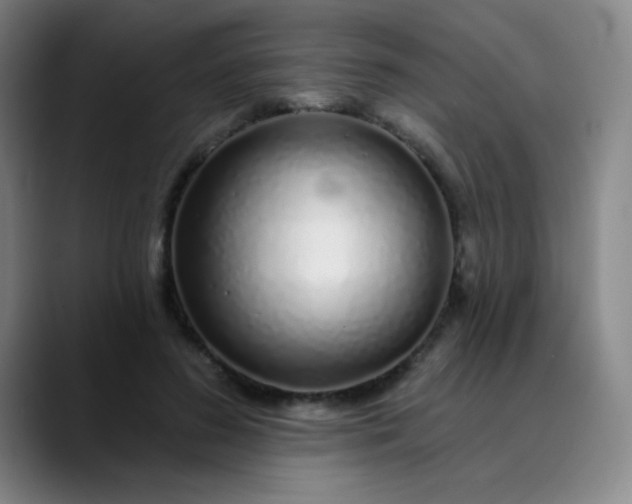 X0000089880596200707121814