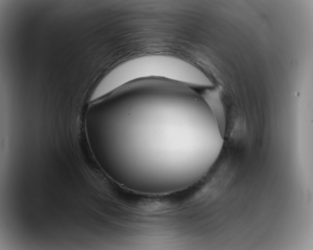 X0000089880597200707121814