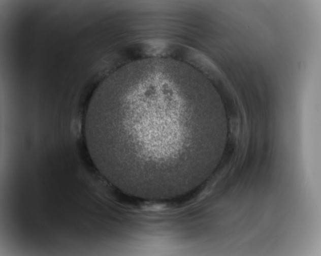 X0000089880602200707121814