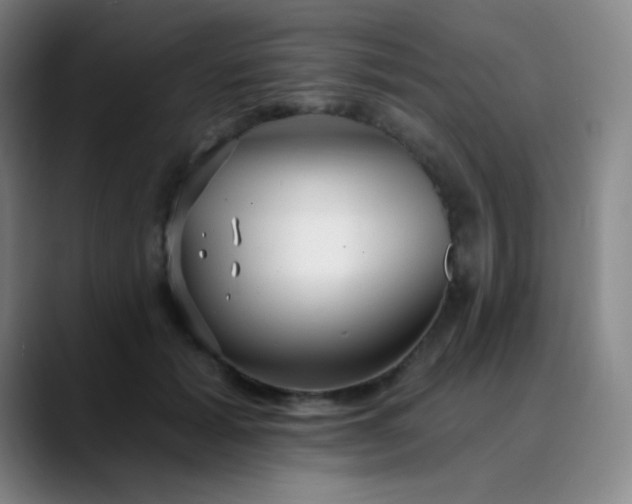 X0000089880605200707121814