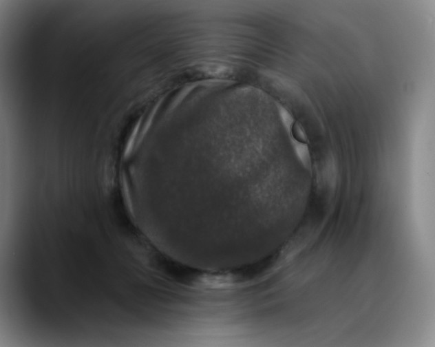 X0000089880606200707121814