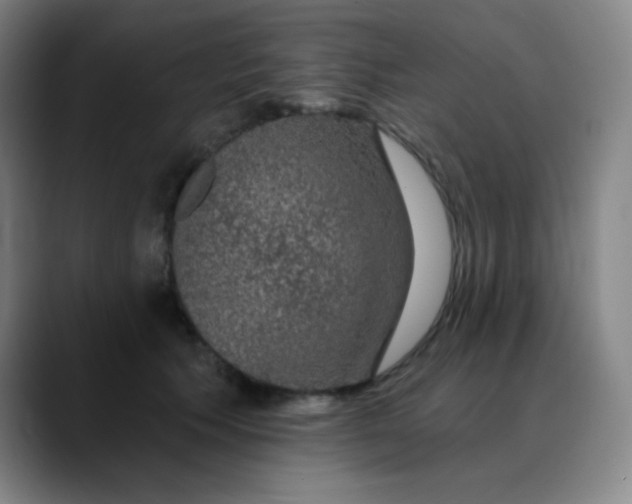 X0000089880609200707121814