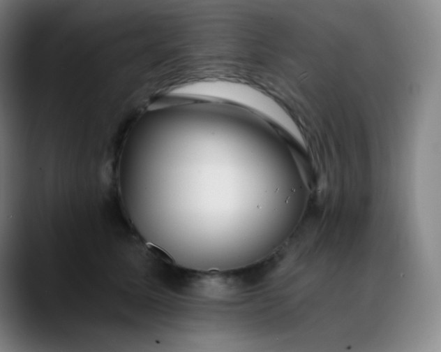 X0000089880611200707121813