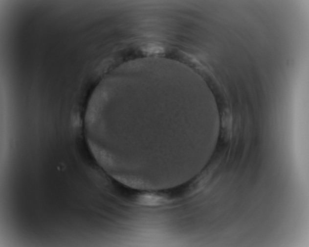 X0000089880614200707121813