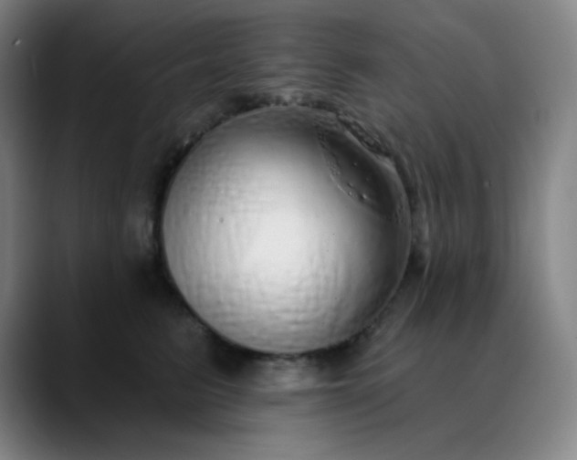 X0000089880615200707121813