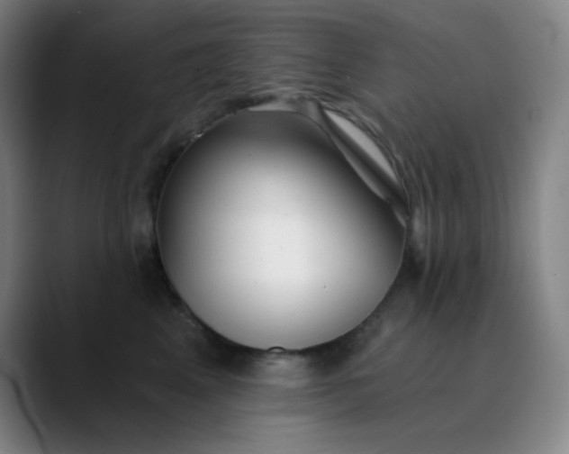 X0000089880617200707121813