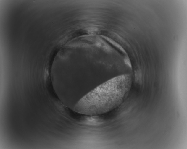 X0000089880618200707121813