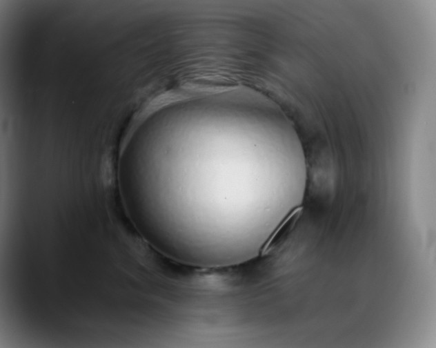 X0000089880620200707121813