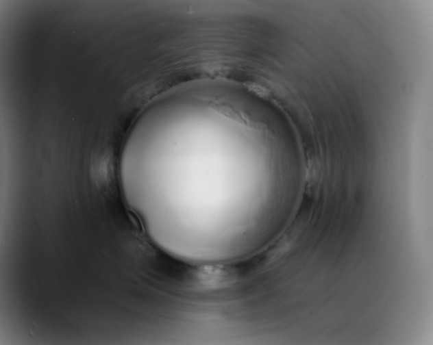 X0000089880623200707121813