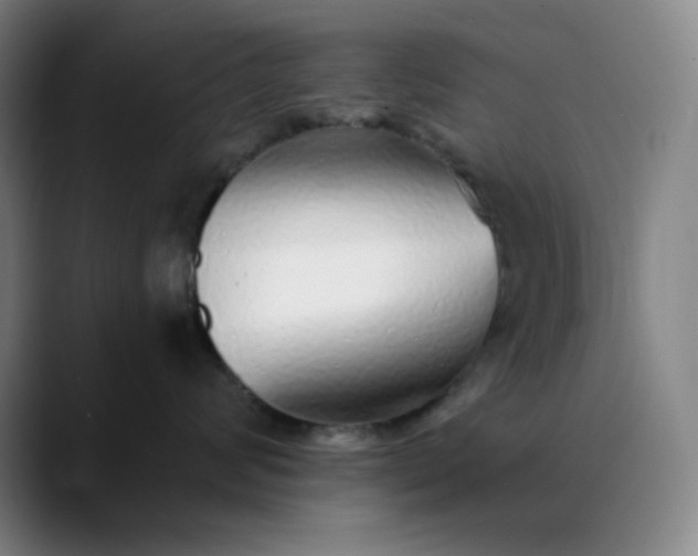 X0000089880624200707121813