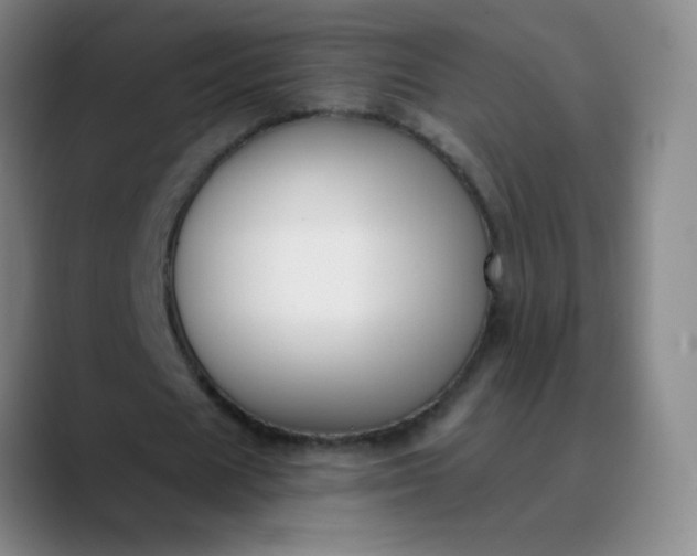 X0000089880625200707121813