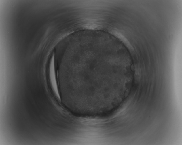 X0000089880626200707121813