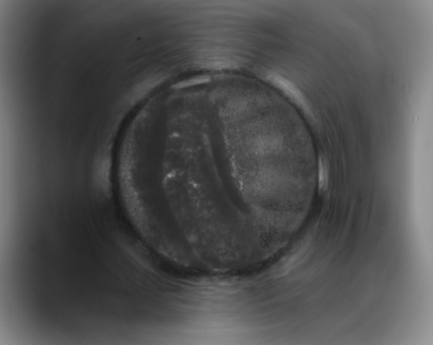 X0000089880627200707121813