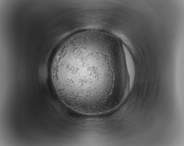 X0000089880628200707121813