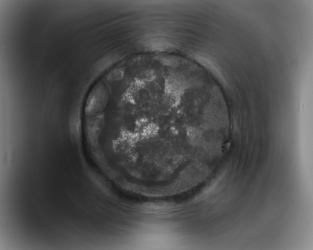 X0000089880630200707121813