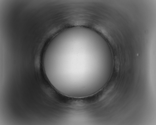 X0000089880631200707121813