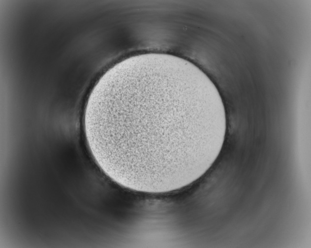 X0000089880632200707121813