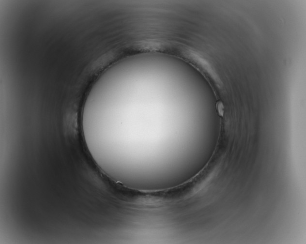 X0000089880633200707121813