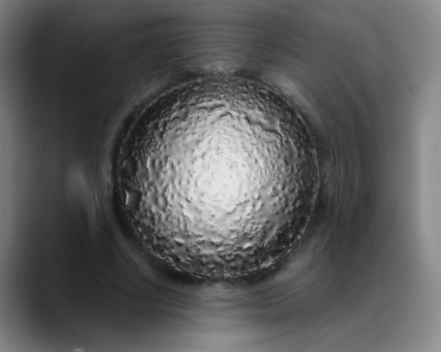 X0000089880634200707121813