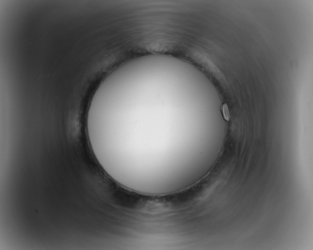 X0000089880635200707121813