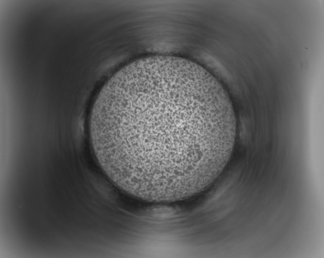 X0000089880636200707121813