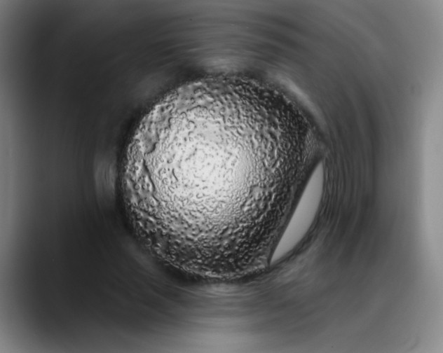 X0000089880637200707121813