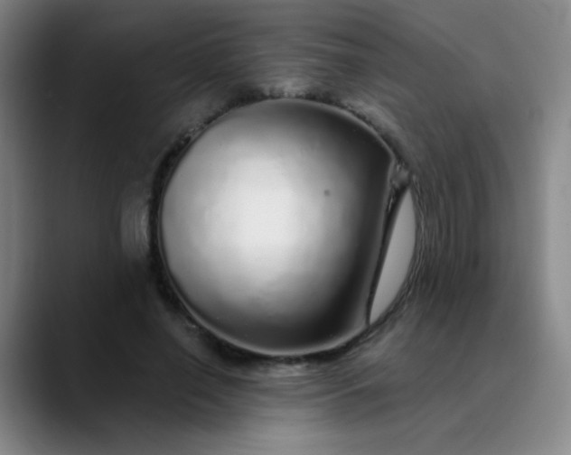 X0000089880638200707121813