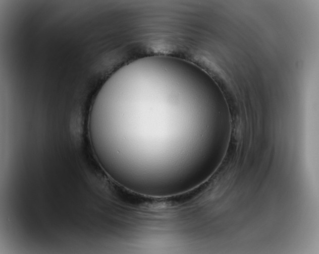 X0000089880639200707121813