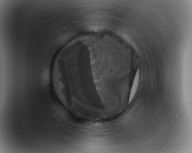 X0000089880640200707121813