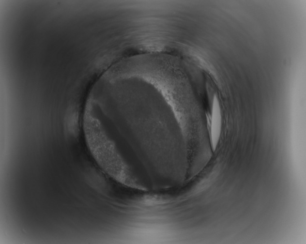 X0000089880641200707121813