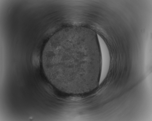 X0000089880644200707121813