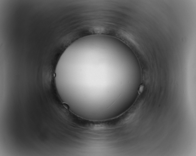 X0000089880645200707121813