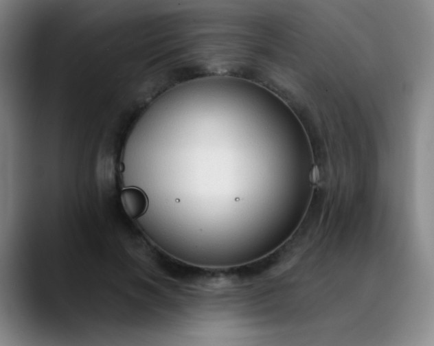 X0000089880646200707121813