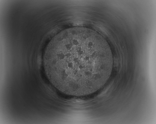 X0000089880648200707121813