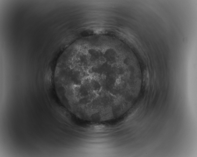 X0000089880650200707121813