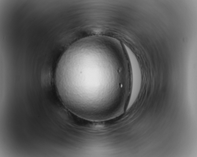 X0000089880651200707121813