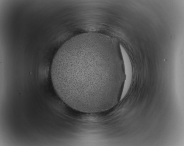 X0000089880652200707121813