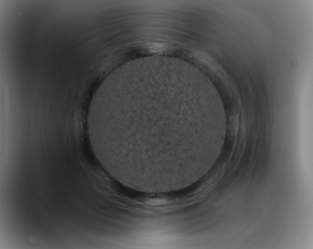 X0000089880653200707121813