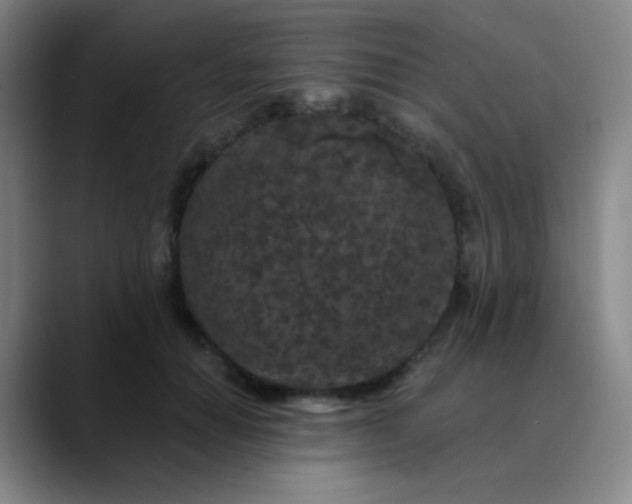 X0000089880654200707121813