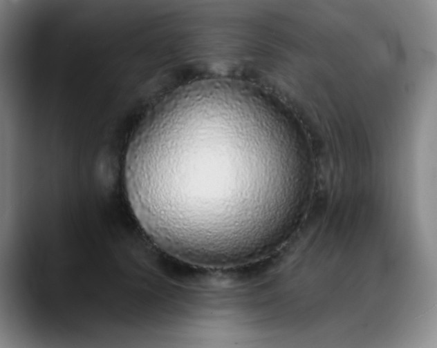 X0000089880656200707121813