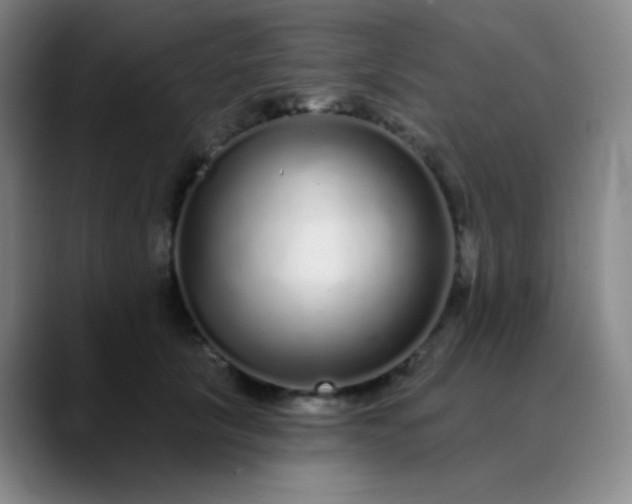 X0000089880657200707121813