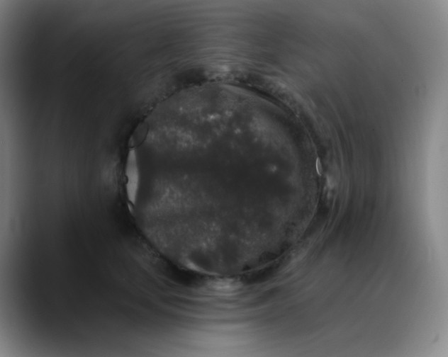 X0000089880659200707121813