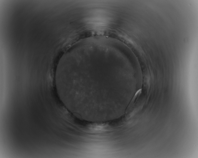 X0000089880661200707121813